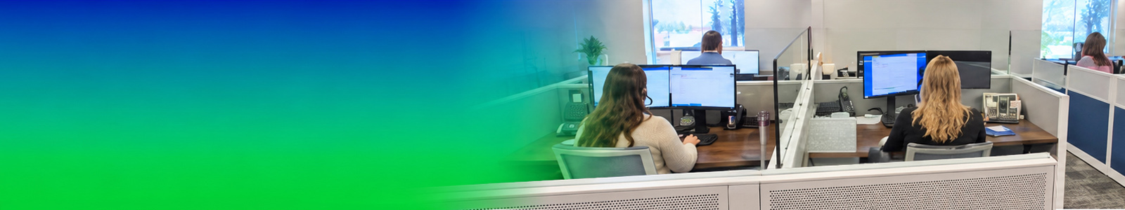 Employees working in their cubicals