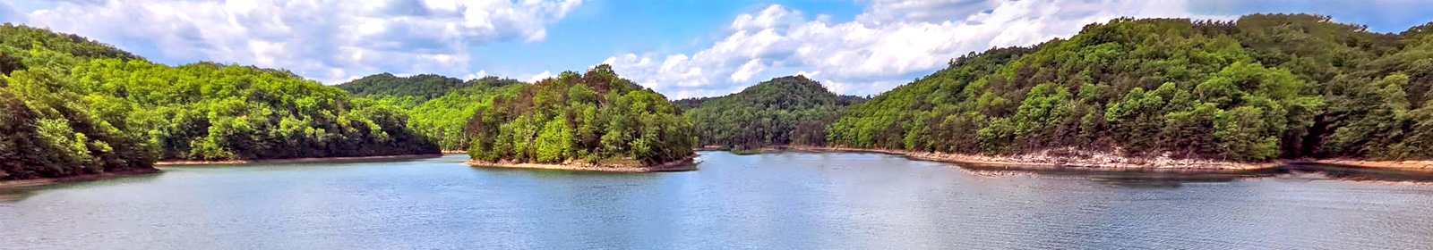 a Lake and trees