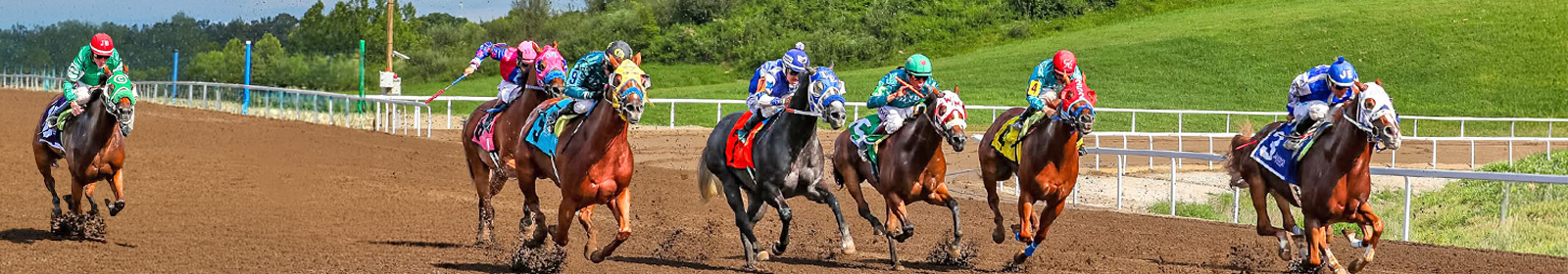 Jockey's riding horses